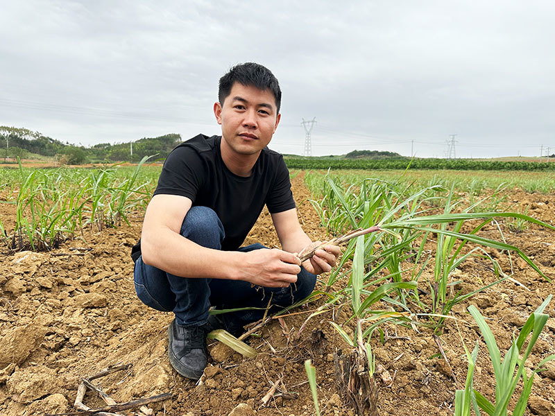 鄉村振興